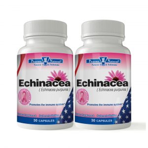 61630 Echinacea